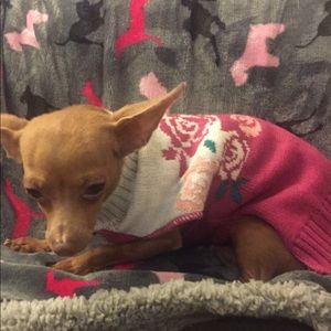 Meet your Posher, Rosa